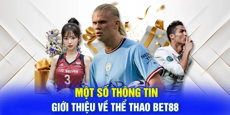 Tổng quan chuyên mục thể thao Bet88